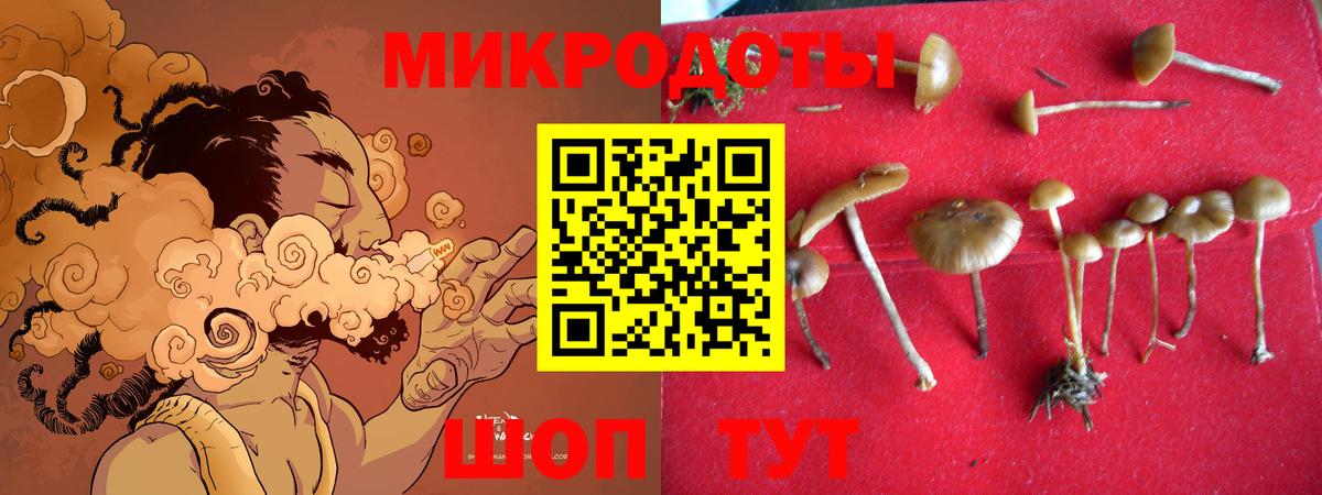 Псилоцибиновые грибы MAGIC MUSHROOMS Лянтор